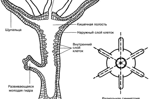 Кракен маркетплейс это