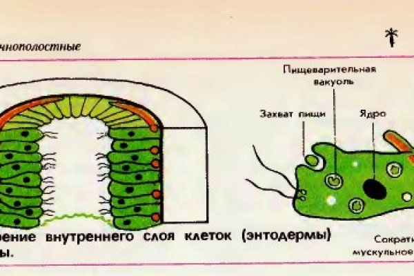 Регистрация на кракен