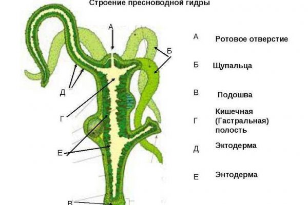 Кракен сайт официальный зеркало