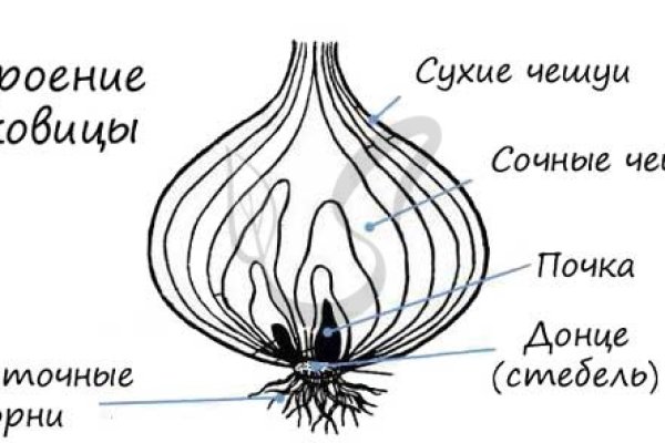 Кракен точка ат